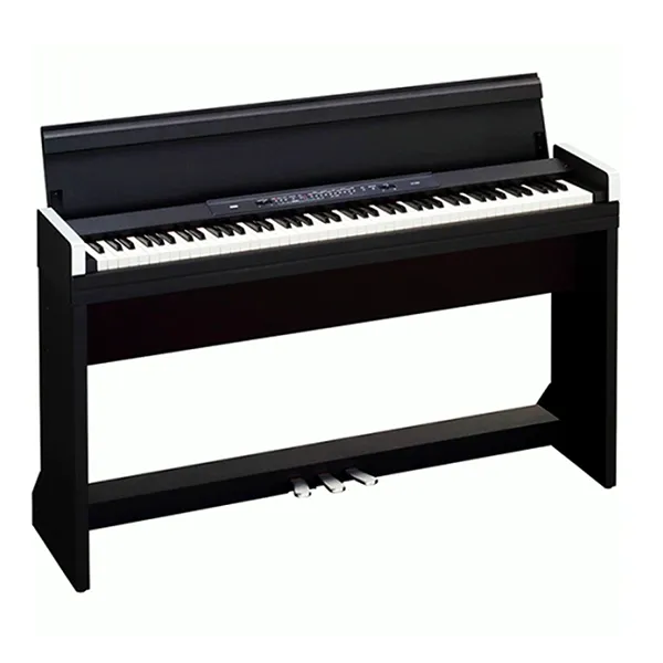Music City – Tổng Kho Piano, Guitar, Organ | Dịch Vụ Giáo Dục Âm Nhạc