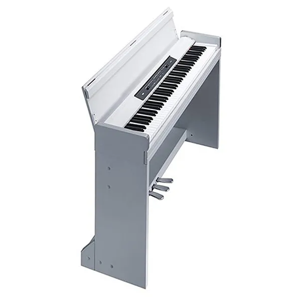 Music City – Tổng Kho Piano, Guitar, Organ | Dịch Vụ Giáo Dục Âm Nhạc