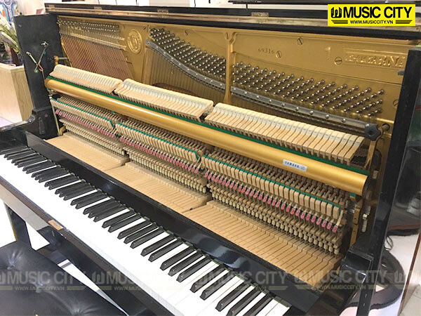 Music City – Tổng Kho Piano, Guitar, Organ | Dịch Vụ Giáo Dục Âm Nhạc