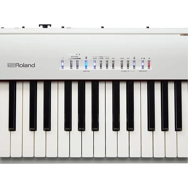 Music City – Tổng Kho Piano, Guitar, Organ | Dịch Vụ Giáo Dục Âm Nhạc
