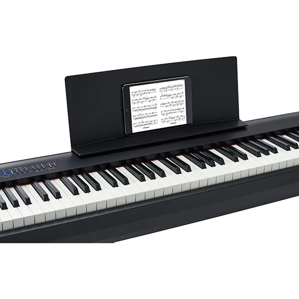Music City – Tổng Kho Piano, Guitar, Organ | Dịch Vụ Giáo Dục Âm Nhạc
