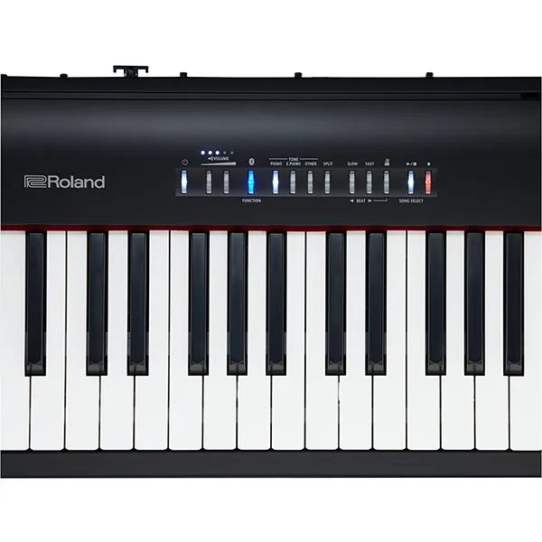Music City – Tổng Kho Piano, Guitar, Organ | Dịch Vụ Giáo Dục Âm Nhạc