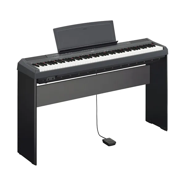 Music City – Tổng Kho Piano, Guitar, Organ | Dịch Vụ Giáo Dục Âm Nhạc