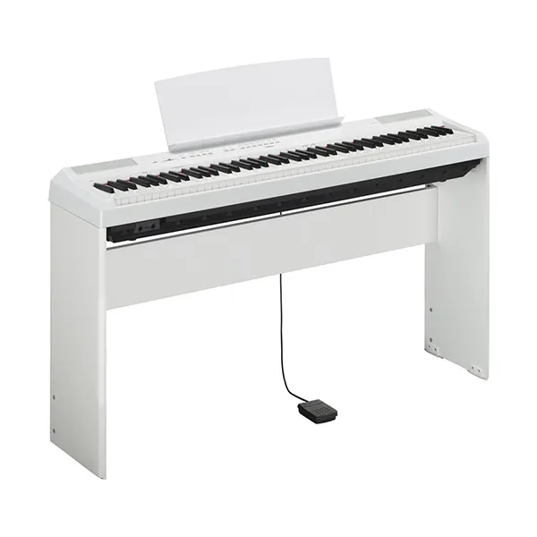 Music City – Tổng Kho Piano, Guitar, Organ | Dịch Vụ Giáo Dục Âm Nhạc