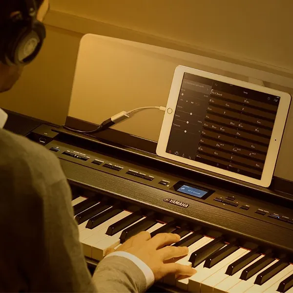 Music City – Tổng Kho Piano, Guitar, Organ | Dịch Vụ Giáo Dục Âm Nhạc