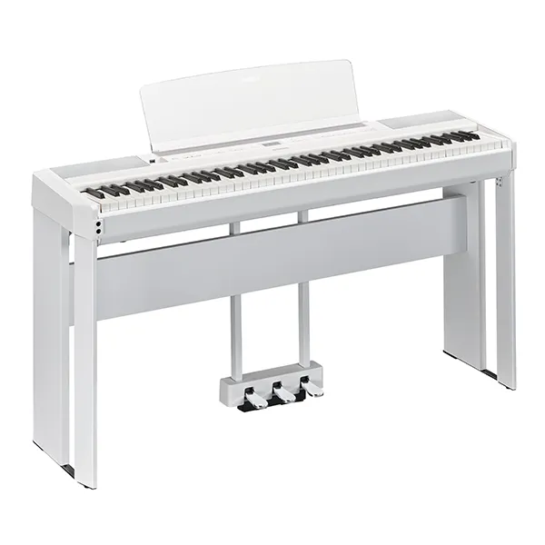 Music City – Tổng Kho Piano, Guitar, Organ | Dịch Vụ Giáo Dục Âm Nhạc