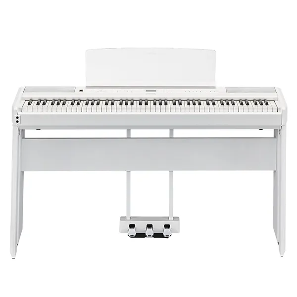 Music City – Tổng Kho Piano, Guitar, Organ | Dịch Vụ Giáo Dục Âm Nhạc