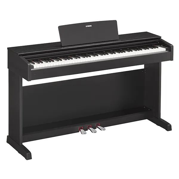 Music City – Tổng Kho Piano, Guitar, Organ | Dịch Vụ Giáo Dục Âm Nhạc