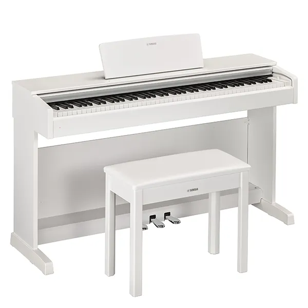 Music City – Tổng Kho Piano, Guitar, Organ | Dịch Vụ Giáo Dục Âm Nhạc
