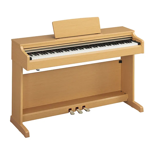 Music City – Tổng Kho Piano, Guitar, Organ | Dịch Vụ Giáo Dục Âm Nhạc