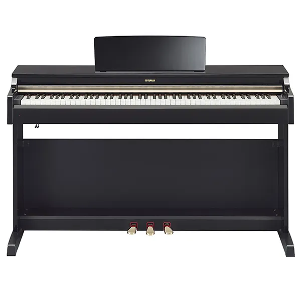 Music City – Tổng Kho Piano, Guitar, Organ | Dịch Vụ Giáo Dục Âm Nhạc