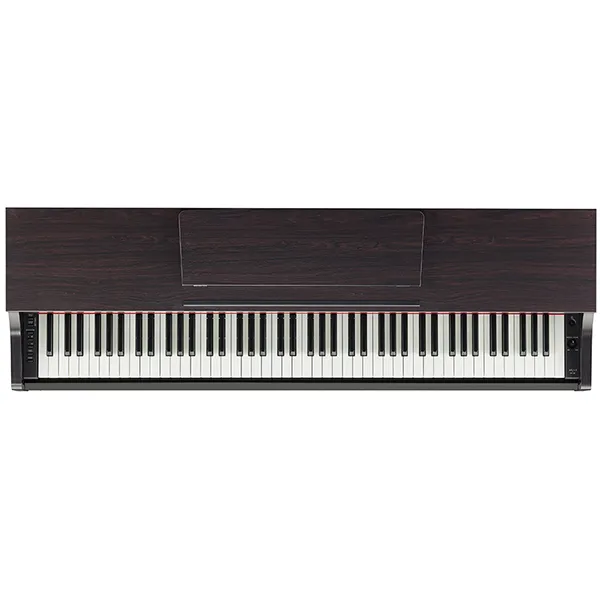 Music City – Tổng Kho Piano, Guitar, Organ | Dịch Vụ Giáo Dục Âm Nhạc