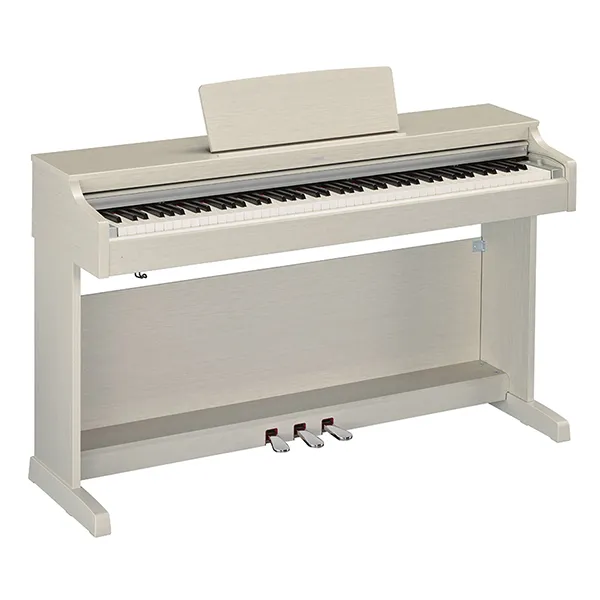 Music City – Tổng Kho Piano, Guitar, Organ | Dịch Vụ Giáo Dục Âm Nhạc