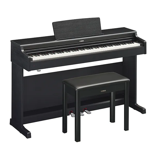 Music City – Tổng Kho Piano, Guitar, Organ | Dịch Vụ Giáo Dục Âm Nhạc