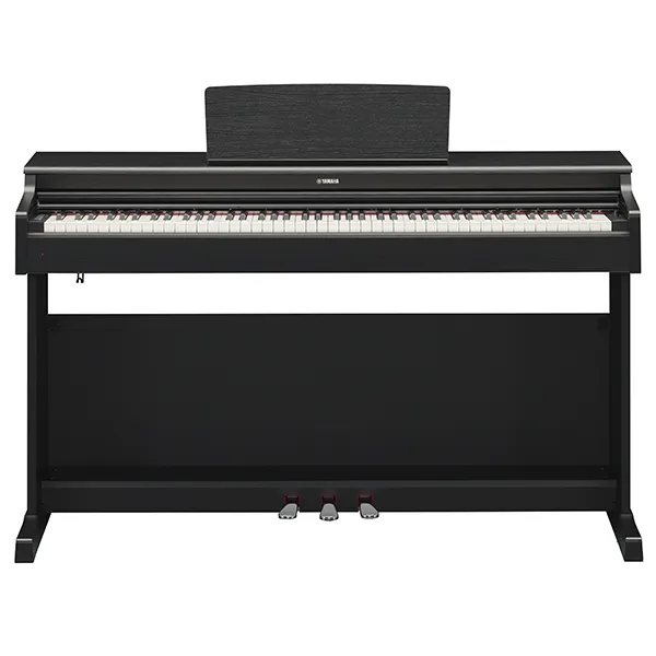 Music City – Tổng Kho Piano, Guitar, Organ | Dịch Vụ Giáo Dục Âm Nhạc
