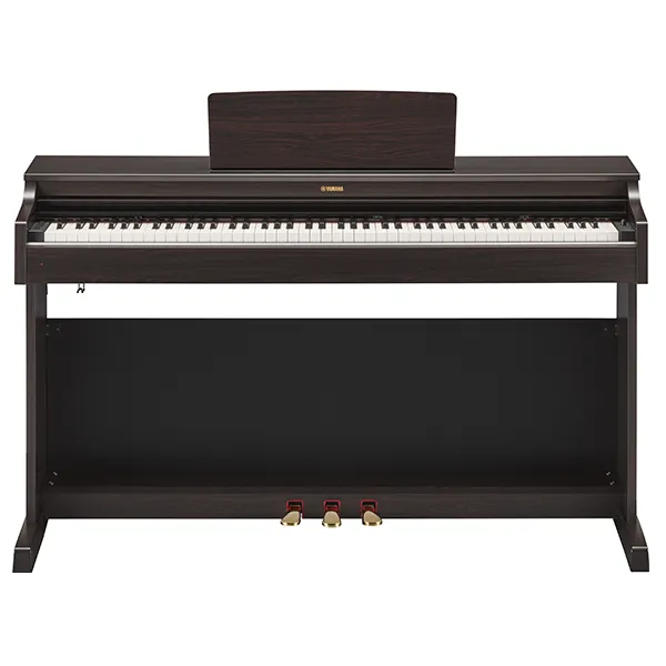 Music City – Tổng Kho Piano, Guitar, Organ | Dịch Vụ Giáo Dục Âm Nhạc