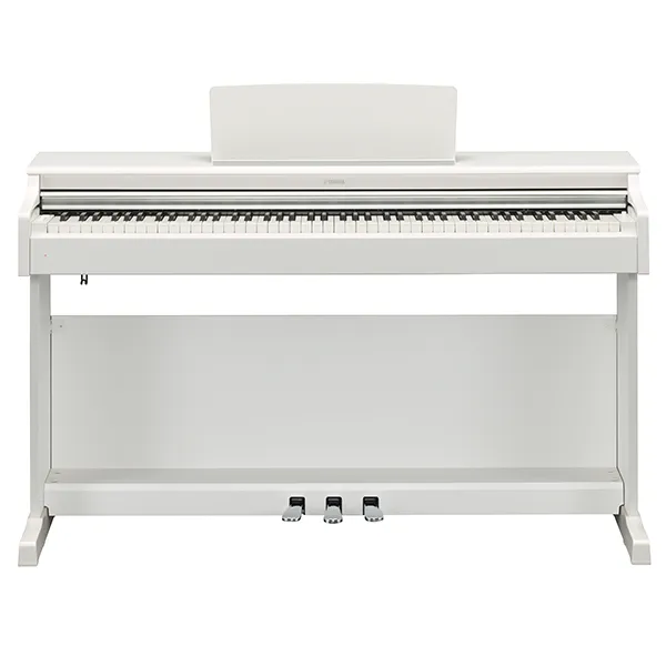 Music City – Tổng Kho Piano, Guitar, Organ | Dịch Vụ Giáo Dục Âm Nhạc