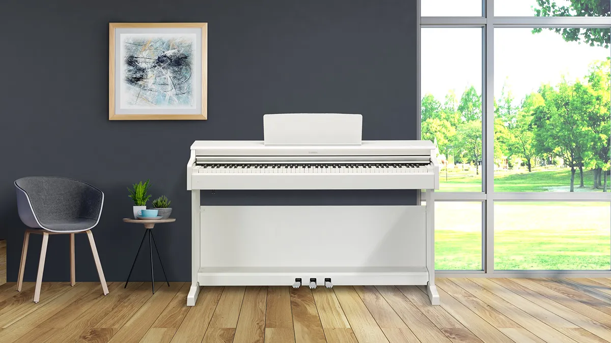 Music City – Tổng Kho Piano, Guitar, Organ | Dịch Vụ Giáo Dục Âm Nhạc