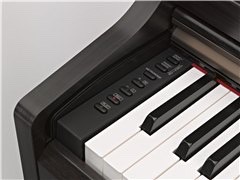 Music City – Tổng Kho Piano, Guitar, Organ | Dịch Vụ Giáo Dục Âm Nhạc