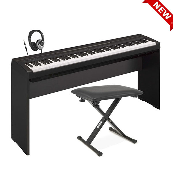 Music City – Tổng Kho Piano, Guitar, Organ | Dịch Vụ Giáo Dục Âm Nhạc