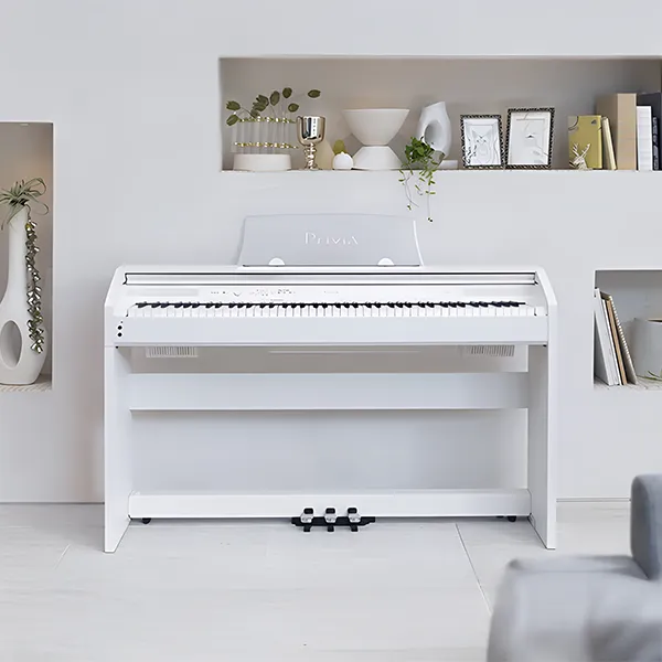 Music City – Tổng Kho Piano, Guitar, Organ | Dịch Vụ Giáo Dục Âm Nhạc