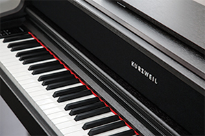 Music City – Tổng Kho Piano, Guitar, Organ | Dịch Vụ Giáo Dục Âm Nhạc
