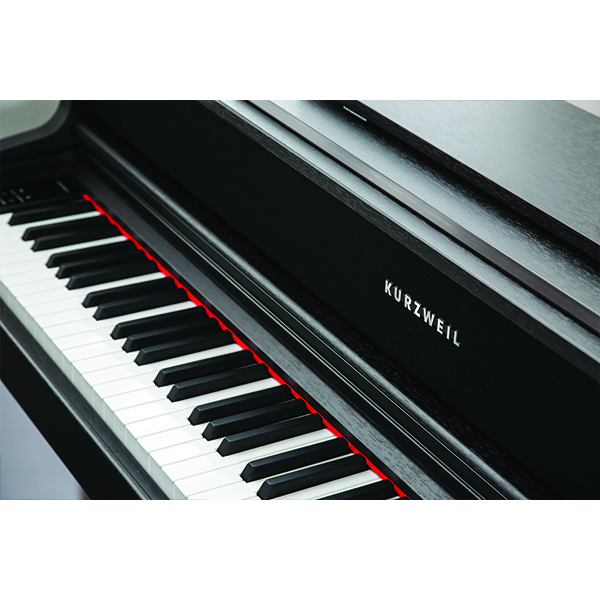 Music City – Tổng Kho Piano, Guitar, Organ | Dịch Vụ Giáo Dục Âm Nhạc