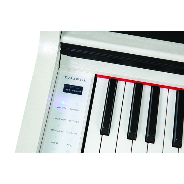 Music City – Tổng Kho Piano, Guitar, Organ | Dịch Vụ Giáo Dục Âm Nhạc