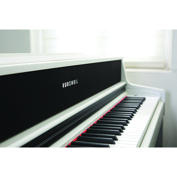 Music City – Tổng Kho Piano, Guitar, Organ | Dịch Vụ Giáo Dục Âm Nhạc