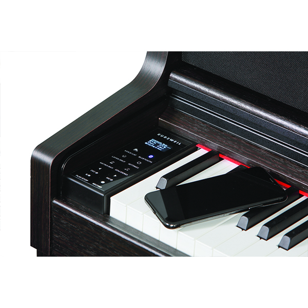 Music City – Tổng Kho Piano, Guitar, Organ | Dịch Vụ Giáo Dục Âm Nhạc