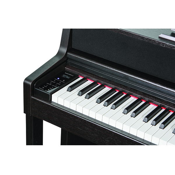 Music City – Tổng Kho Piano, Guitar, Organ | Dịch Vụ Giáo Dục Âm Nhạc