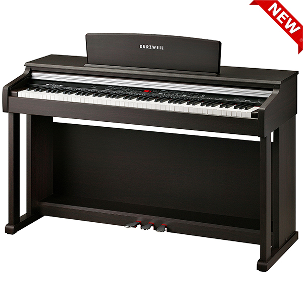 Music City – Tổng Kho Piano, Guitar, Organ | Dịch Vụ Giáo Dục Âm Nhạc