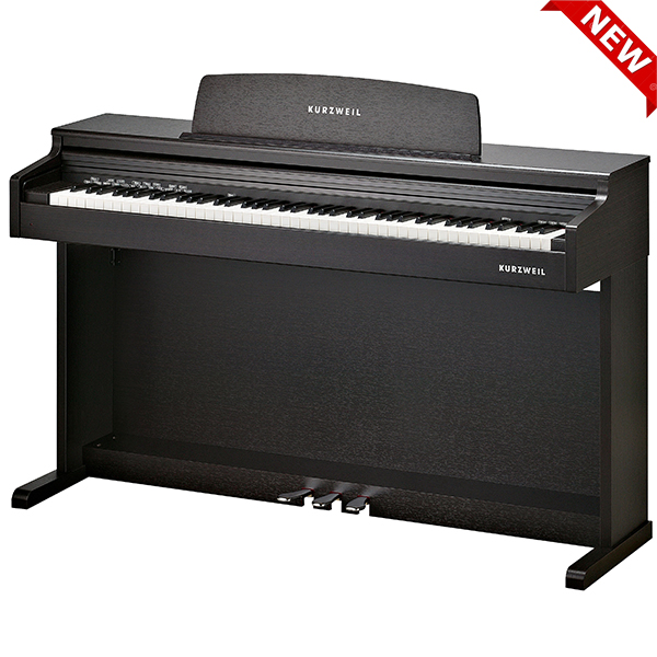 Music City – Tổng Kho Piano, Guitar, Organ | Dịch Vụ Giáo Dục Âm Nhạc