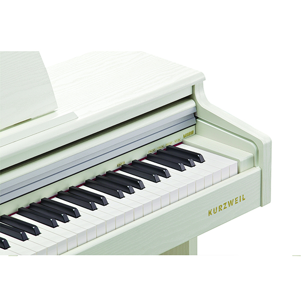 Music City – Tổng Kho Piano, Guitar, Organ | Dịch Vụ Giáo Dục Âm Nhạc