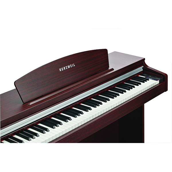 Music City – Tổng Kho Piano, Guitar, Organ | Dịch Vụ Giáo Dục Âm Nhạc
