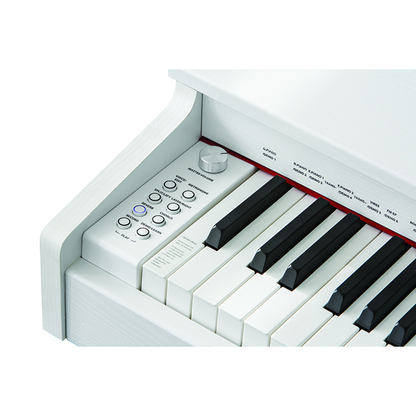 Music City – Tổng Kho Piano, Guitar, Organ | Dịch Vụ Giáo Dục Âm Nhạc