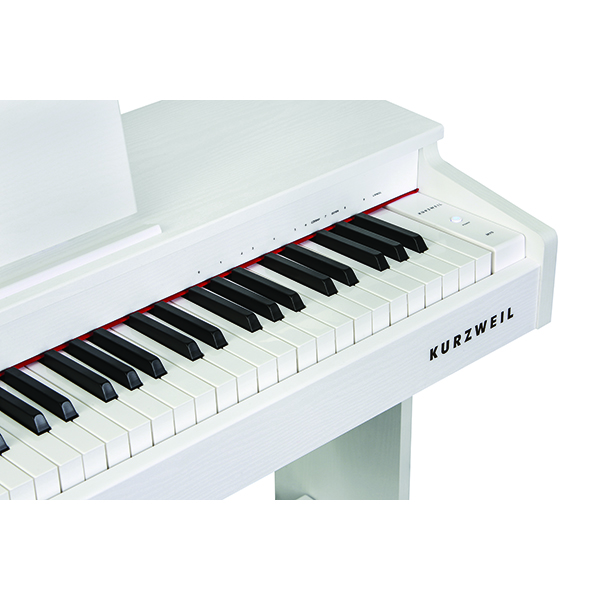 Music City – Tổng Kho Piano, Guitar, Organ | Dịch Vụ Giáo Dục Âm Nhạc
