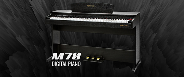 Music City – Tổng Kho Piano, Guitar, Organ | Dịch Vụ Giáo Dục Âm Nhạc