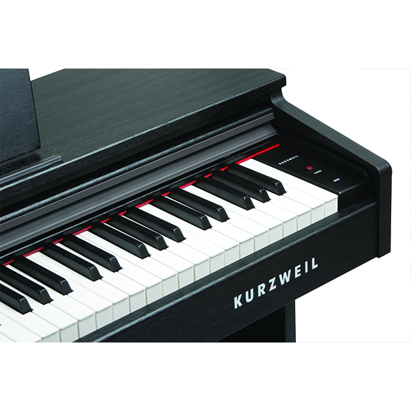 Music City – Tổng Kho Piano, Guitar, Organ | Dịch Vụ Giáo Dục Âm Nhạc