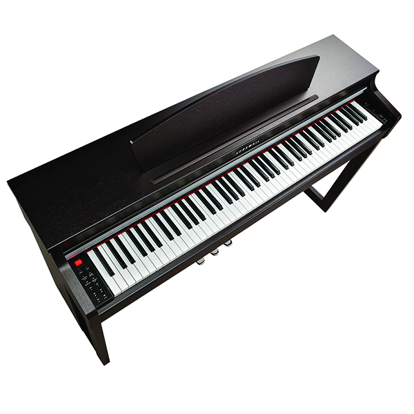 Music City – Tổng Kho Piano, Guitar, Organ | Dịch Vụ Giáo Dục Âm Nhạc