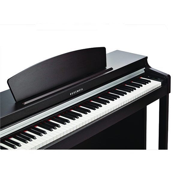 Music City – Tổng Kho Piano, Guitar, Organ | Dịch Vụ Giáo Dục Âm Nhạc