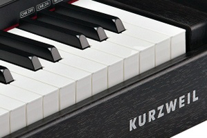 Music City – Tổng Kho Piano, Guitar, Organ | Dịch Vụ Giáo Dục Âm Nhạc
