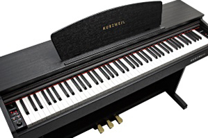 Music City – Tổng Kho Piano, Guitar, Organ | Dịch Vụ Giáo Dục Âm Nhạc