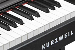 Music City – Tổng Kho Piano, Guitar, Organ | Dịch Vụ Giáo Dục Âm Nhạc