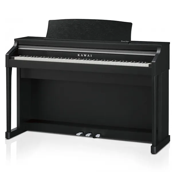 Music City – Tổng Kho Piano, Guitar, Organ | Dịch Vụ Giáo Dục Âm Nhạc