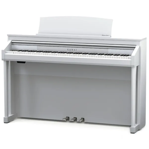 Music City – Tổng Kho Piano, Guitar, Organ | Dịch Vụ Giáo Dục Âm Nhạc