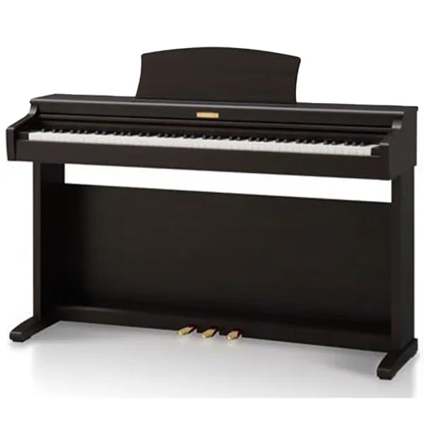 Music City – Tổng Kho Piano, Guitar, Organ | Dịch Vụ Giáo Dục Âm Nhạc