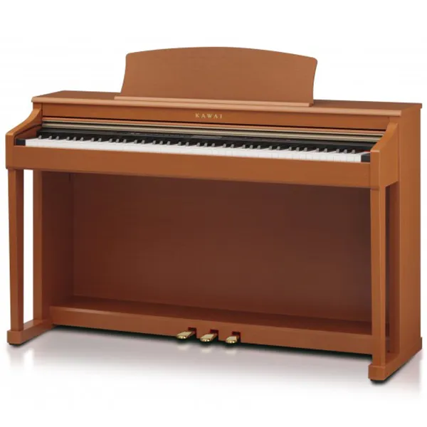 Music City – Tổng Kho Piano, Guitar, Organ | Dịch Vụ Giáo Dục Âm Nhạc