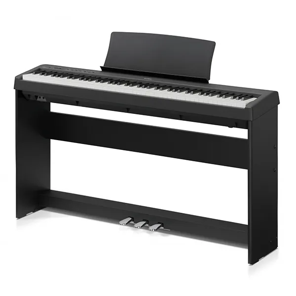 Music City – Tổng Kho Piano, Guitar, Organ | Dịch Vụ Giáo Dục Âm Nhạc