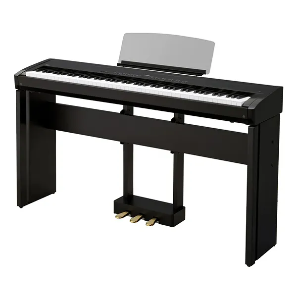 Music City – Tổng Kho Piano, Guitar, Organ | Dịch Vụ Giáo Dục Âm Nhạc